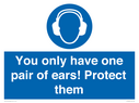 mandatory-you-only-have-one-pair-of-ears-protect-them~